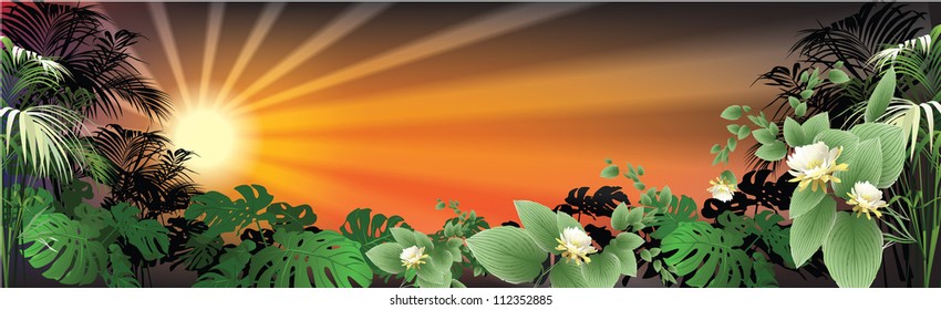 tropical landscape (tropical plants vector illustration)