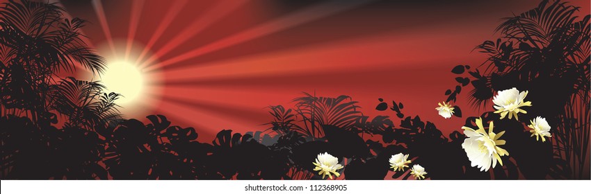 tropical landscape (tropical plants vector illustration)