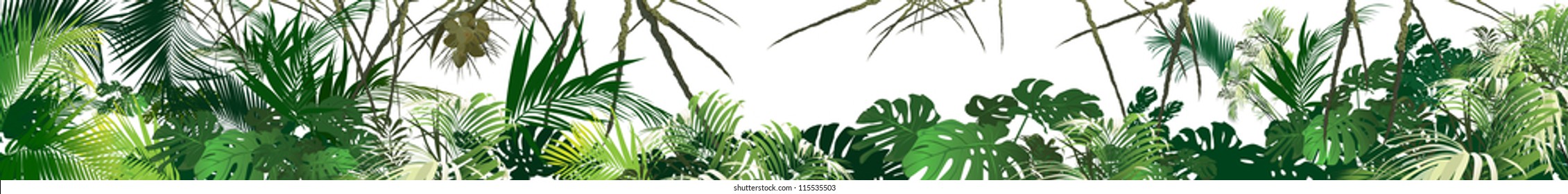 tropical landscape (tropical plants vector illustration)