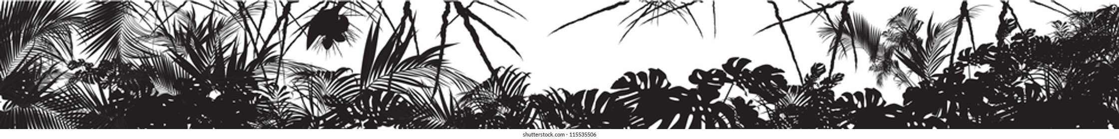 tropical landscape (tropical plants vector illustration)