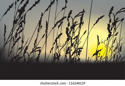tropical landscape (tropical plants vector illustration)