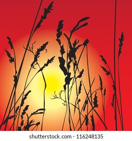 tropical landscape (tropical plants vector illustration)