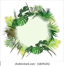 tropical landscape (tropical plants vector illustration)