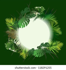 tropical landscape (tropical plants vector illustration)