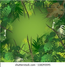 tropical landscape (tropical plants vector illustration)