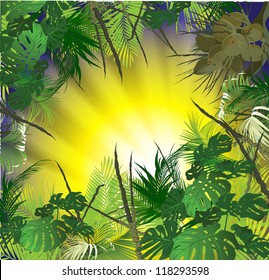 tropical landscape (tropical plants vector illustration)