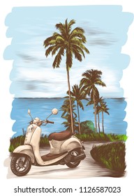 tropical landscape road surrounded by palm trees and grass, in the background sea, on the road is a retro bike, sketch vector graphics color illustration on white background