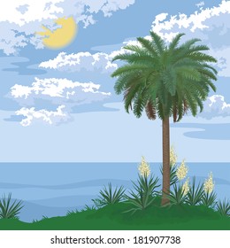 Tropical landscape, sea island with palm tree, bloomer plants Yucca and sky with clouds and sun. Vector