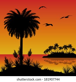 Tropical landscape, sea island with palm trees, bloomer plants Yucca and birds gulls, black silhouettes on red - yellow background. Vector