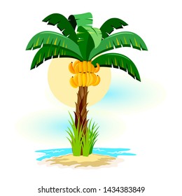 Tropical landscape with sunny sky, palm trees on beach. Summer vacations in tropics with plants, ocean or sea waves, sand resort. Vector clipart isolated on white for tourist, travel projects.