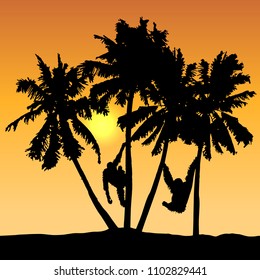 Tropical landscape vector with monkeys on palms and yellow sun on orange shaded sky.