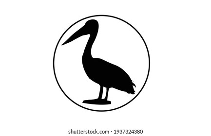 Tropical large river bird pelican