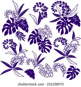 tropical leaf
