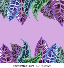 Tropical leaf background