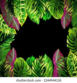 Tropical leaf background