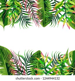 Tropical leaf background