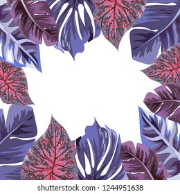 Tropical leaf background
