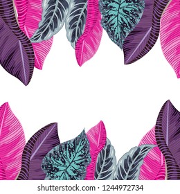 Tropical leaf background