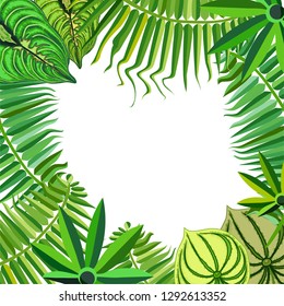 Tropical leaf background