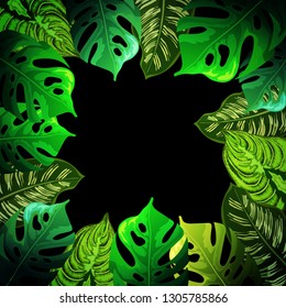 Tropical leaf background