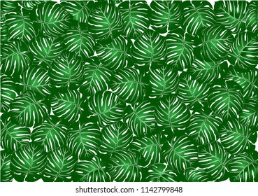 Tropical leaf background wallpaper.