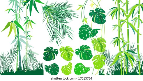 Tropical leaf and bamboo set, vector illustration