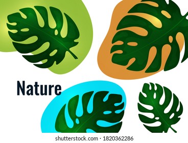 Tropical leaf banner background. Exotic botanical design. Modern sale flyer in vector. Summer sale banner. Big sale advertisement. Vector illustration