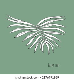 Vector de hojas tropicales negro y blanco aislado en fondo verde