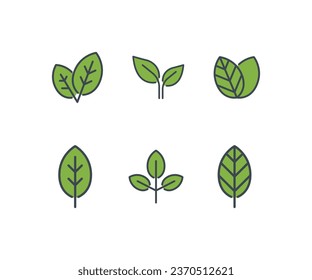 Tropical Leaf in branch for decorative. Set of different types of leaves. nature, eco friendly. Eco black line leaf icons. Flat icon, eco set of green. Vector illustration on white background. EPS10