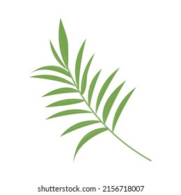 tropical leaf branch icon isolated