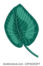 Tropical leaf clipart. Exotic flora doodle. Cartoon vector botany illustration. Contemporary style drawing isolated on white..