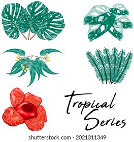 Tropical leaf collection free vector