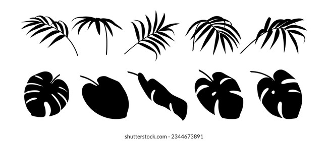 Colección de hojas tropicales. Flora de selva. Naturaleza exótica. Corte de la rama de la palma. Figura de hojas. Conjunto botánico. Silueta negra. Elemento floral. Aislado sobre fondo blanco. Ilustración del vector