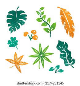 Tropical leaf collection suitable for decoration