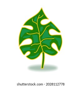 Tropical leaf collection. vector isolated elements on a white background