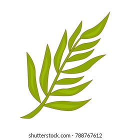 Tropical leaf color flat