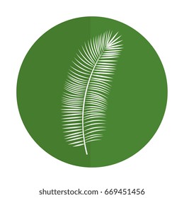 tropical leaf decorative icon