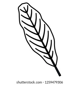 tropical leaf design