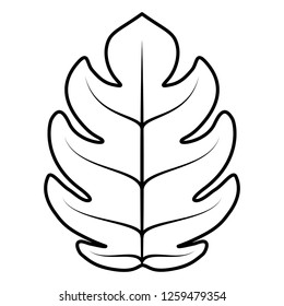 tropical leaf design