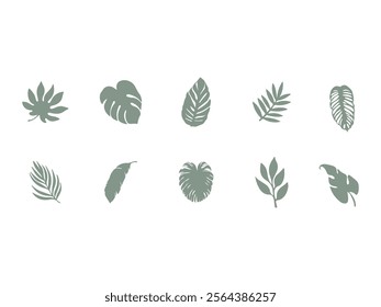 Tropical Leaf Design Element Set