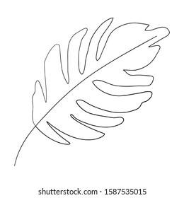 Tropical leaf design, Nature summer plant botany tree and decoration theme Vector illustration
