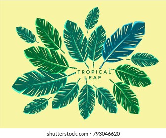 tropical leaf design template