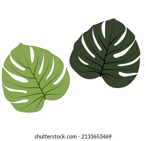 tropical leaf with different two colors.