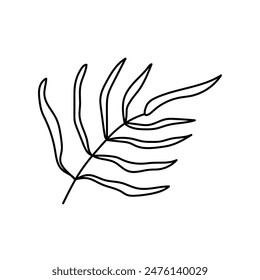 Tropical leaf in doodle style. Vector isolated on white background