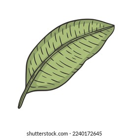 Tropical Leaf Doodle Vector Illustration
