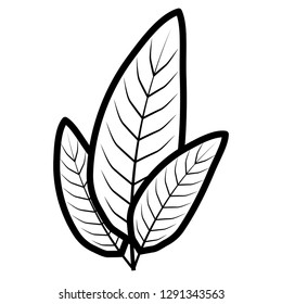 tropical leaf ecology icon