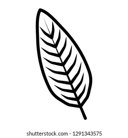 tropical leaf ecology icon
