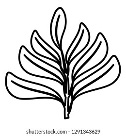 tropical leaf ecology icon