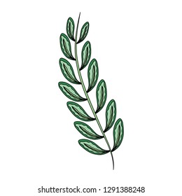 tropical leaf ecology icon