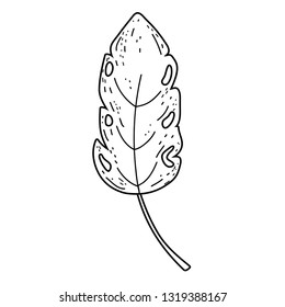 tropical leaf ecology icon